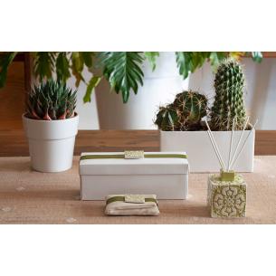 Cupido&Co - Diffusore Verde con Boccetta di Essenza alla Vaniglia 2