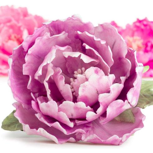 Decora - Kit 7 tagliapasta peonia con foglie