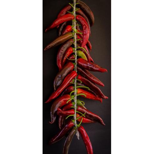 Fascetta in Plastica Resistente per Appendere Peperoni Feba meccanica