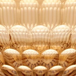 Contenitore Ciotola Guzzini Vanity 12cm Cristallo Acrilico Bio-based Powder Pink 2