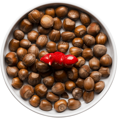 Sagaform - Piatto da Portata Scoiattolo Rosso